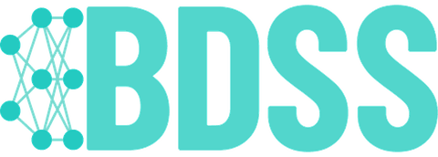 BDSS logo — Since AI partner