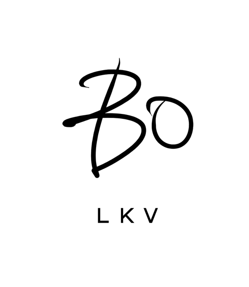 Bo logo — Since AI partner