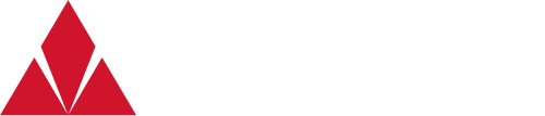 Forcit Group logo — Since AI partner