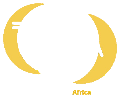 Tech Emerging Africa logo — Since AI partner