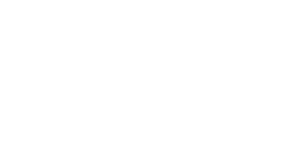Tesi logo — Since AI partner