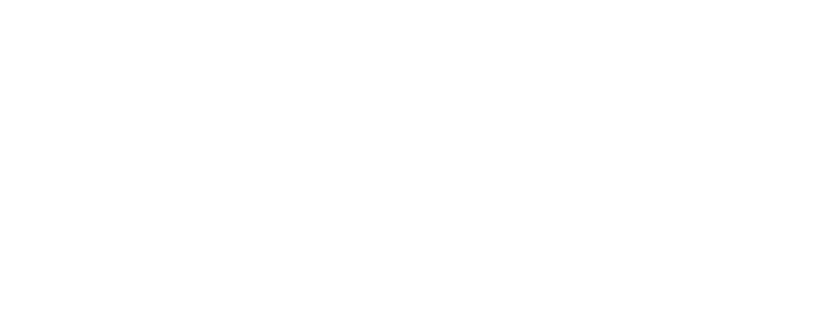 Elisa logo — Since AI partner
