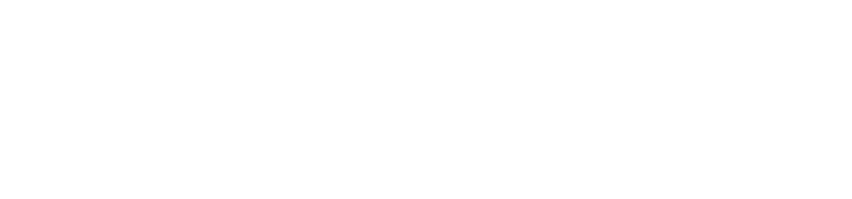 Solita logo — Since AI partner